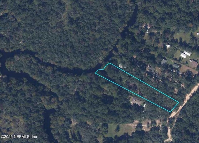 2960 Black Creek Dr, Middleburg, FL 32068 - photo 2