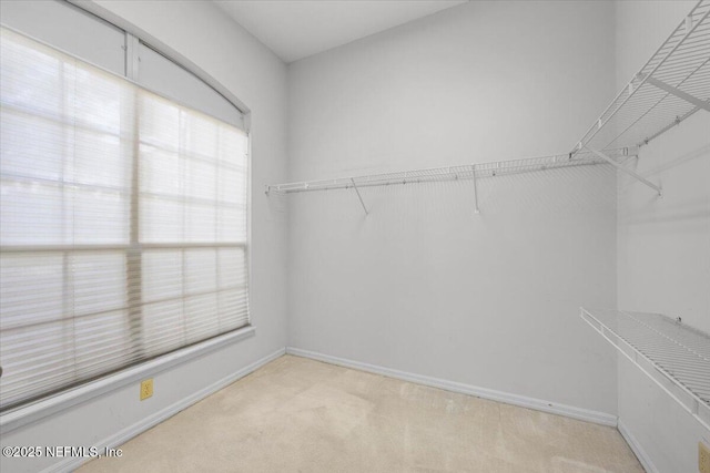 2867 Everholly Ln, Jacksonville, FL 32223 - photo 27