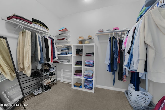 50 Skyline Ln, Saint Augustine, FL 32092 - spacious closet featuring carpet flooring