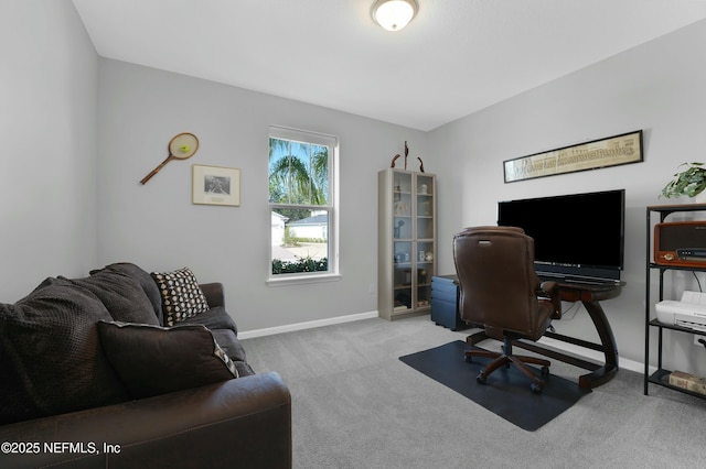 50 Skyline Ln, Saint Augustine, FL 32092 - carpeted office space with baseboards