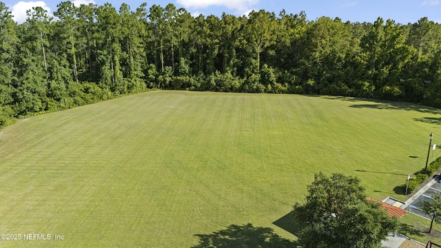 1100 Ashfield Way, Saint Johns, FL 32259 - view of yard
