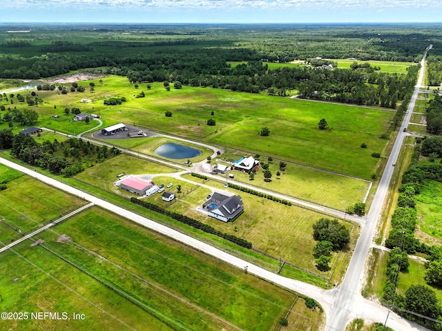 3919 Sunset Sky Rd, Middleburg, FL 32068 - photo 70