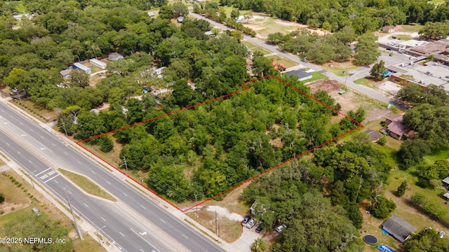 7341 Crill Ave, Palatka, FL 32177 - photo 5