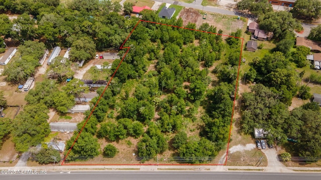 7341 Crill Ave, Palatka, FL 32177 - photo 2