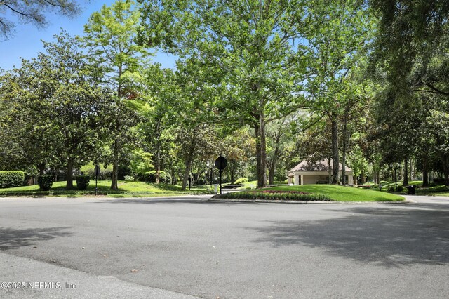 4245 Leaping Deer Ln, Saint Johns, FL 32259 - photo 58