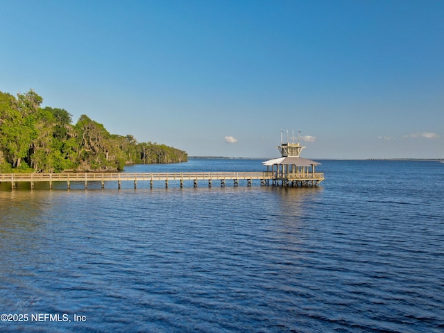 147 Rawlings Dr, Saint Johns, FL 32259 - water view