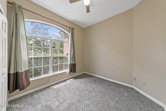 3851 Fairbanks Forest Dr, Jacksonville, FL 32223 - photo 21