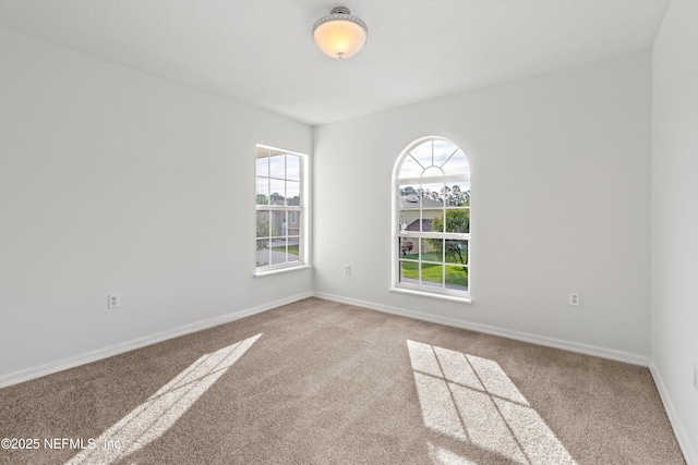 11954 Cherry Creek Rd, Jacksonville, FL 32218 - photo 40