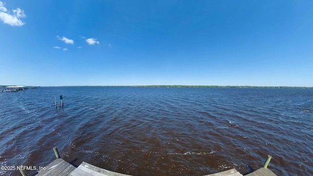 1539 Blue Heron Ct, Fleming Island, FL 32003 - photo 83