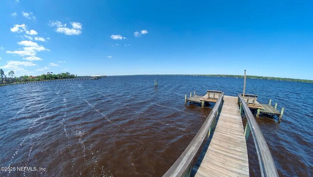 1539 Blue Heron Ct, Fleming Island, FL 32003 - photo 85