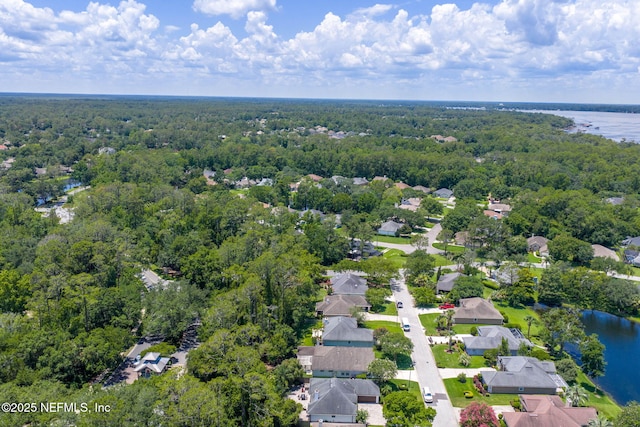 1539 Blue Heron Ct, Fleming Island, FL 32003 - photo 97