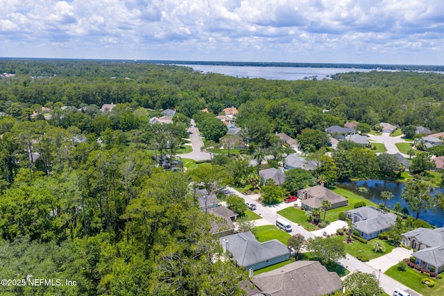 1539 Blue Heron Ct, Fleming Island, FL 32003 - photo 99
