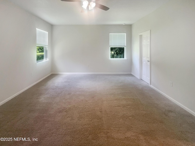 3106 Angora Bay Dr, Middleburg, FL 32068 - photo 5