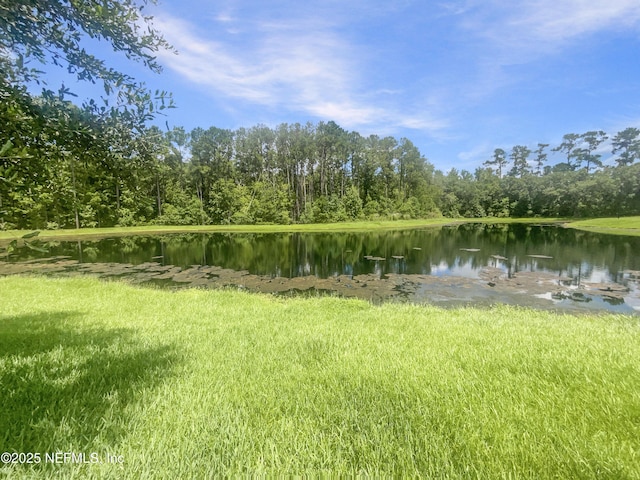 3106 Angora Bay Dr, Middleburg, FL 32068 - photo 21