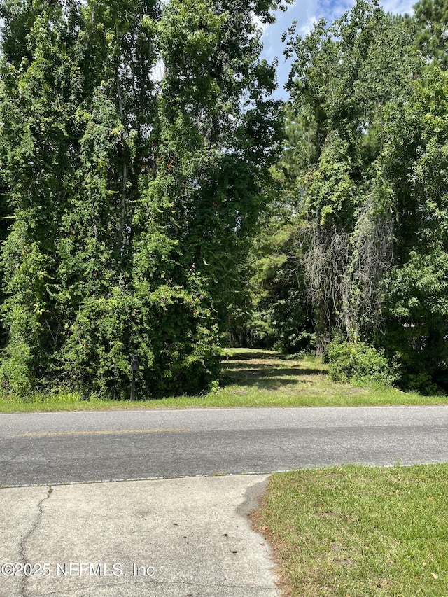3210 County Road 209, Green Cove Springs, FL 32043 - photo 4