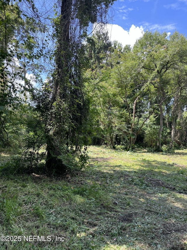 3210 County Road 209, Green Cove Springs, FL 32043 - photo 5