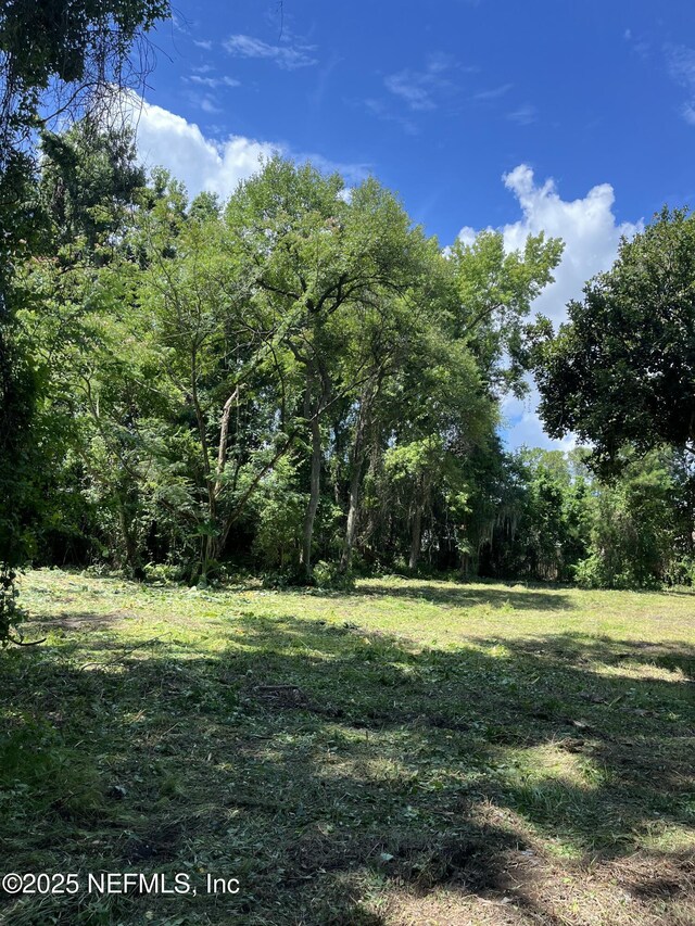 3210 County Road 209, Green Cove Springs, FL 32043 - photo 6