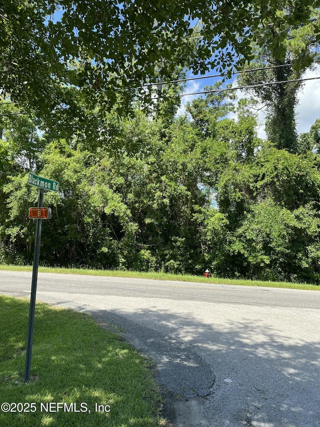 3210 County Road 209, Green Cove Springs, FL 32043 - photo 3