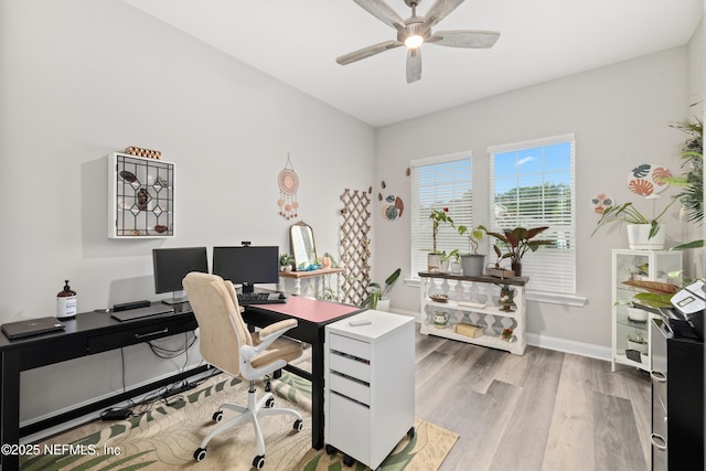 157 Westcott Pkwy, Saint Augustine, FL 32095 - photo 10