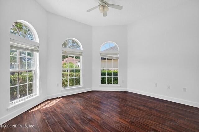 10008 Sifton Ct, Jacksonville, FL 32246 - photo 14