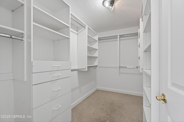 10008 Sifton Ct, Jacksonville, FL 32246 - photo 28