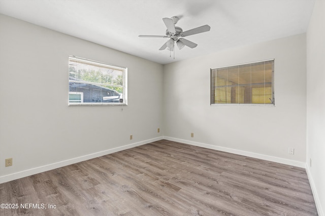 8348 Sanlando Ave, Jacksonville, FL 32211 - photo 8