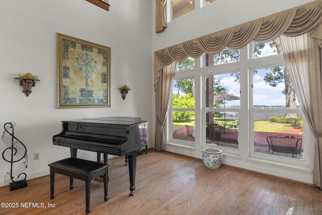 3305 US Highway 17, Fleming Island, FL 32003 - living area featuring light wood-type flooring and a high ceiling