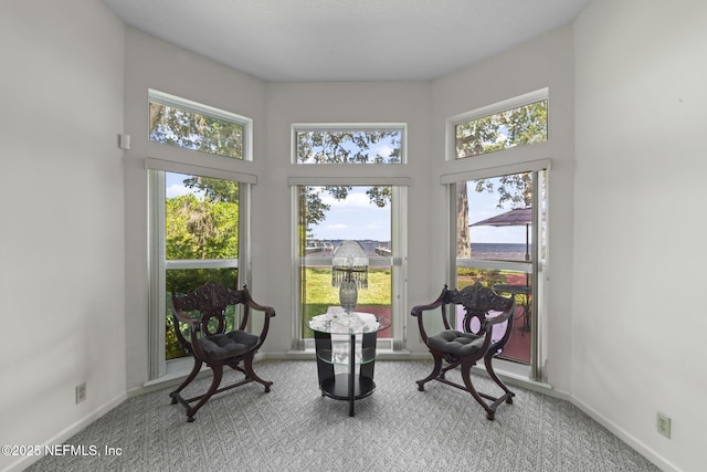 3305 US Highway 17, Fleming Island, FL 32003 - living area with carpet and a high ceiling