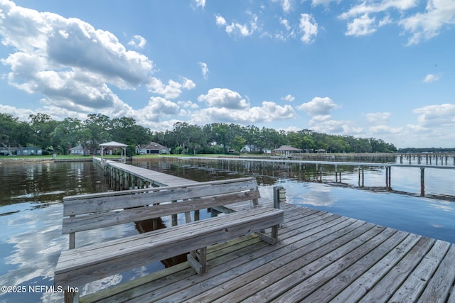 3305 US Highway 17, Fleming Island, FL 32003 - dock area with a water view