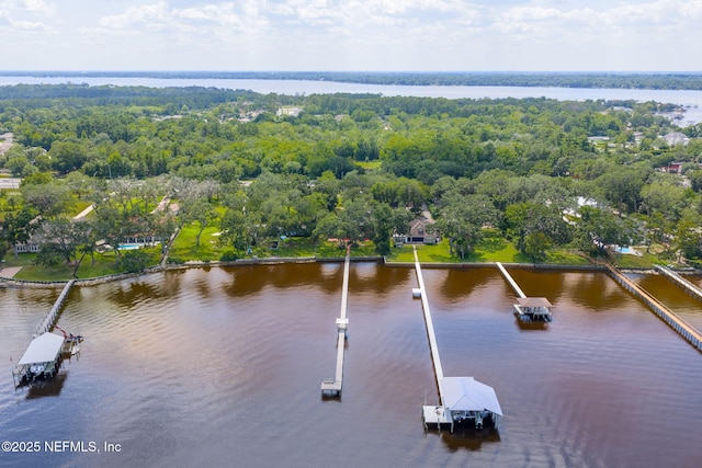 3305 US Highway 17, Fleming Island, FL 32003 - bird's eye view of a nearby body of water
