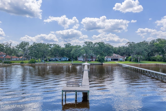 3305 US Highway 17, Fleming Island, FL 32003 - dock area featuring a water view and view of scattered trees