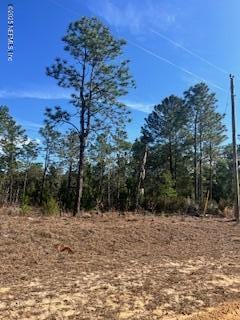 204 Flamingo Dr, Interlachen, FL 32148