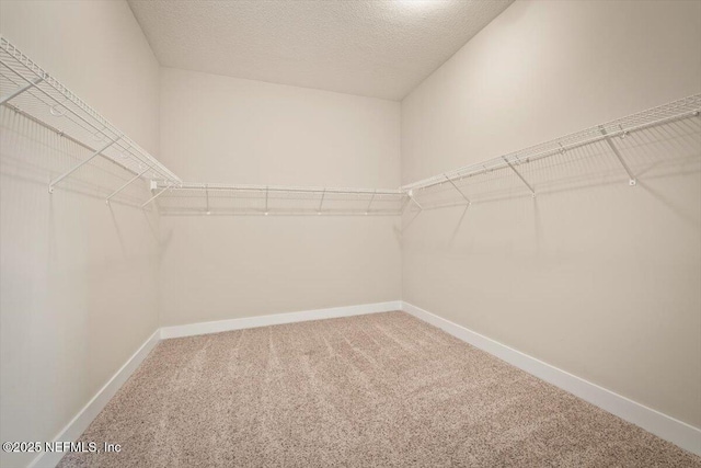 305 Seahill Dr, Saint Augustine, FL 32092 - spacious closet with carpet flooring