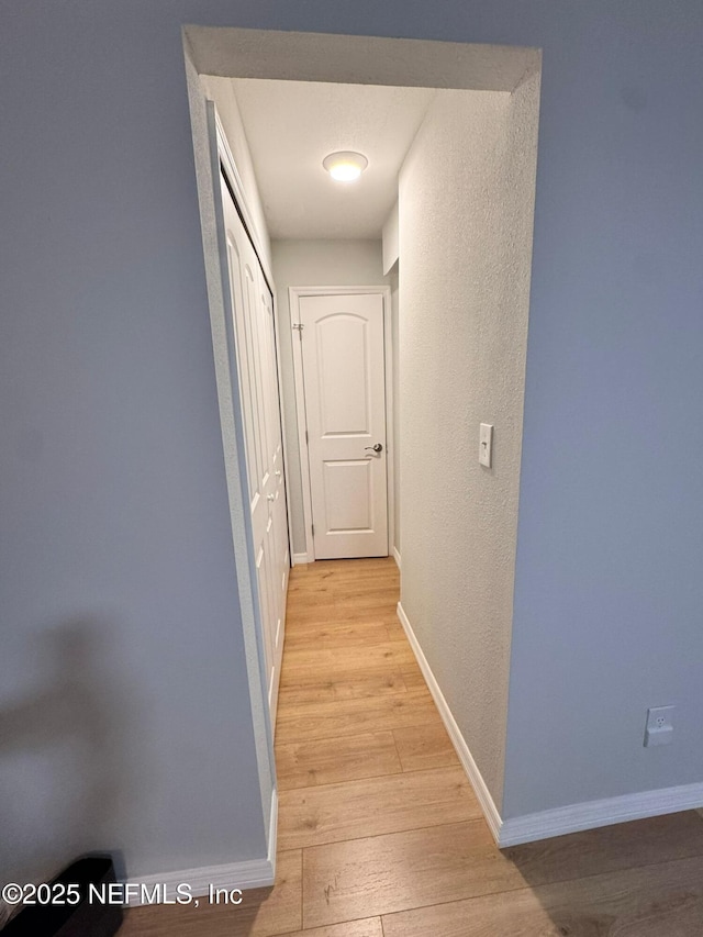 1618 El Camino Rd Unit 2, Jacksonville, FL 32216 - hall with light wood-style floors and a textured wall