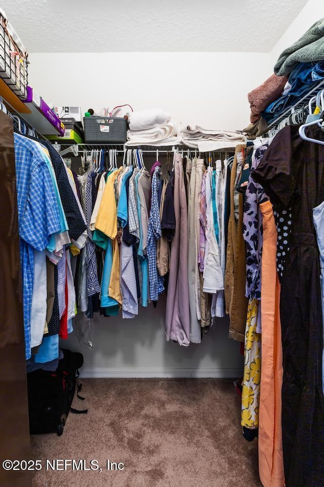 76146 Long Leaf Loop, Yulee, FL 32097 - spacious closet with carpet flooring