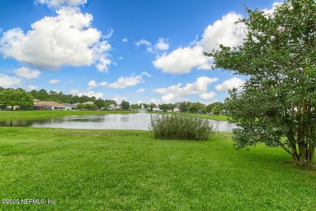 76146 Long Leaf Loop, Yulee, FL 32097 - water view