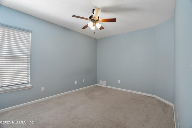 253 Bell Branch Ln, Saint Johns, FL 32259 - spare room featuring ceiling fan, carpet flooring, and healthy amount of natural light