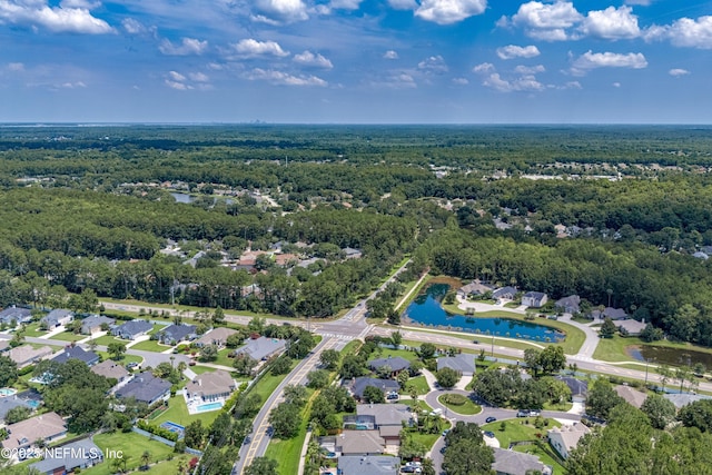 253 Bell Branch Ln, Saint Johns, FL 32259 - aerial overview of property's location featuring a heavily wooded area and nearby suburban area