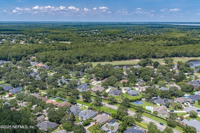 253 Bell Branch Ln, Saint Johns, FL 32259 - aerial overview of property's location with a forest