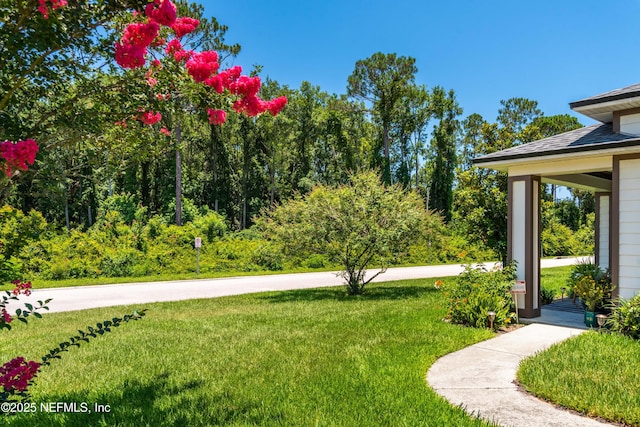 400 Monet Ave, Ponte Vedra, FL 32081 - photo 4