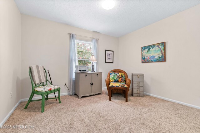 400 Monet Ave, Ponte Vedra, FL 32081 - photo 23
