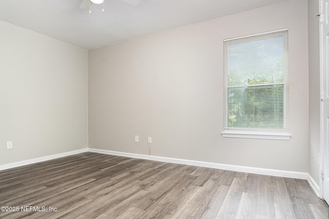 1233 Van Buren St, Jacksonville, FL 32206 - photo 14