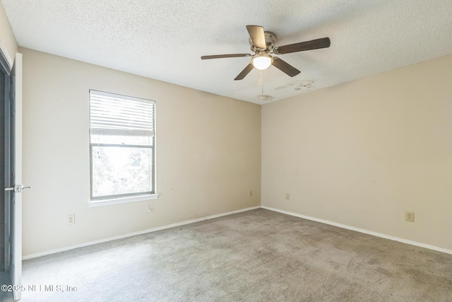 4777 Barnes Rd S, Jacksonville, FL 32207 - photo 12