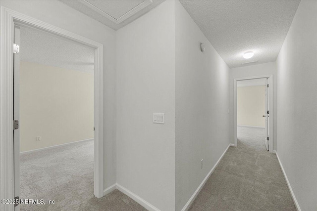 225 Northbridge Ct, Jacksonville, FL 32259 - photo 14