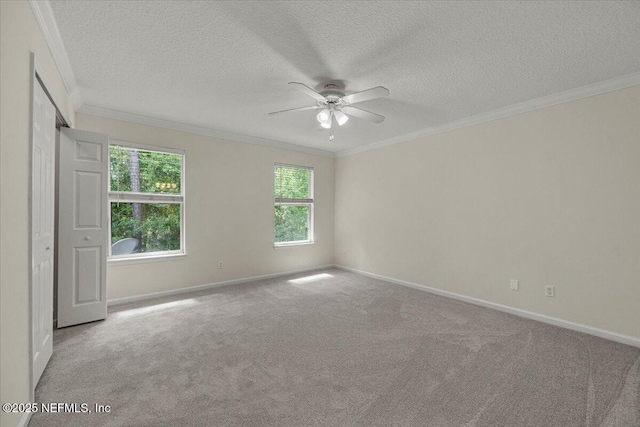 225 Northbridge Ct, Jacksonville, FL 32259 - photo 15