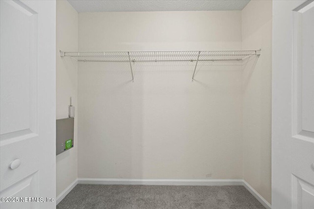 225 Northbridge Ct, Jacksonville, FL 32259 - photo 19