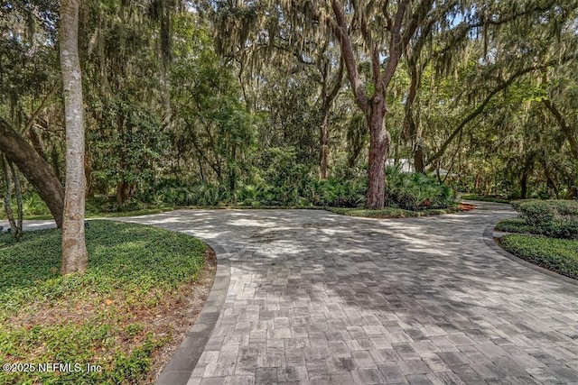 1 Marsh Hawk Rd, Fernandina Beach, FL 32034 - photo 41