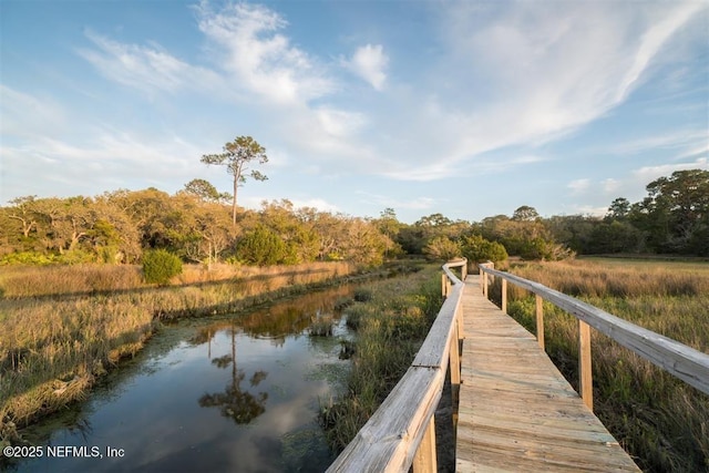 1 Marsh Hawk Rd, Fernandina Beach, FL 32034 - photo 45