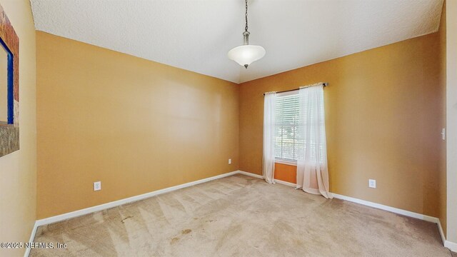 9254 Hawks Run Ln, Jacksonville, FL 32222 - photo 14