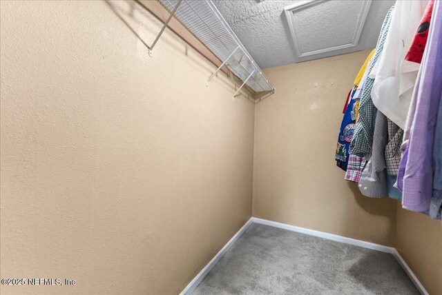 15914 Bainebridge Dr, Jacksonville, FL 32218 - photo 26
